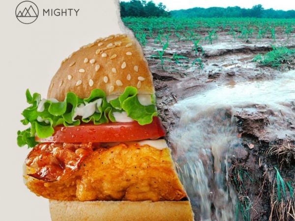 mighty burger mighty burger