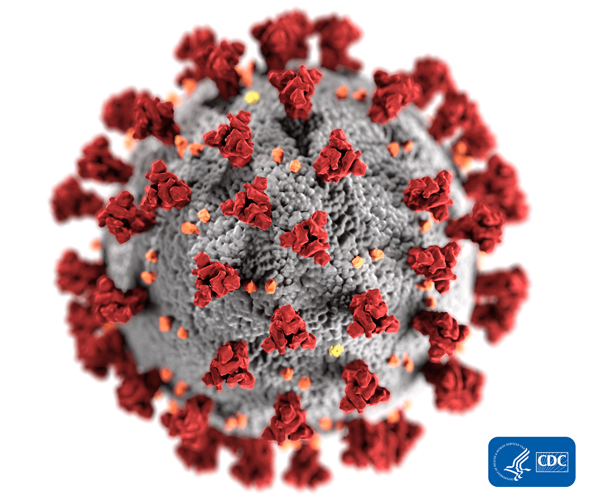 coronavirus-img