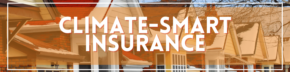 Climate-Smart Insurance Heading