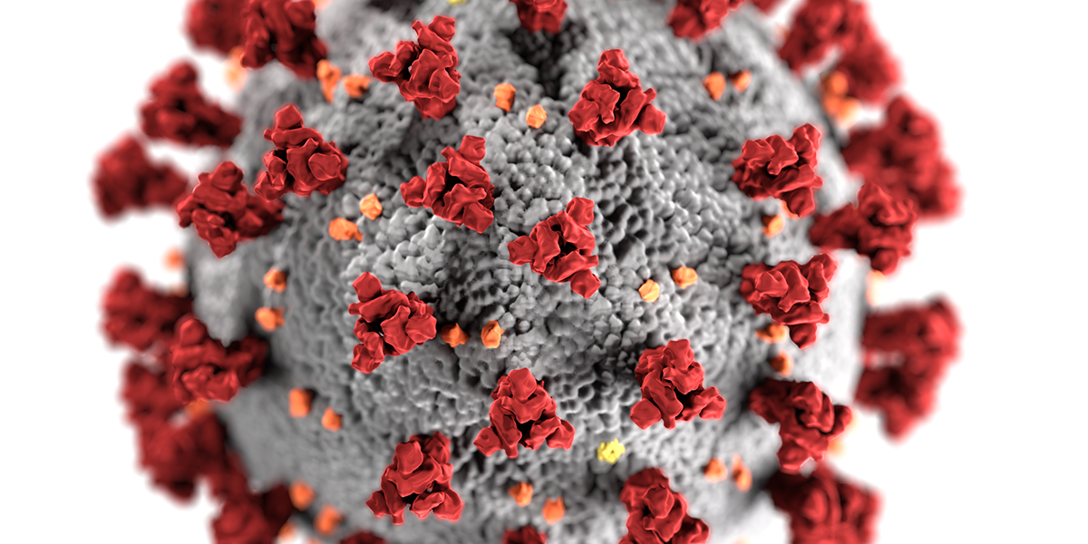 coronavirus-img